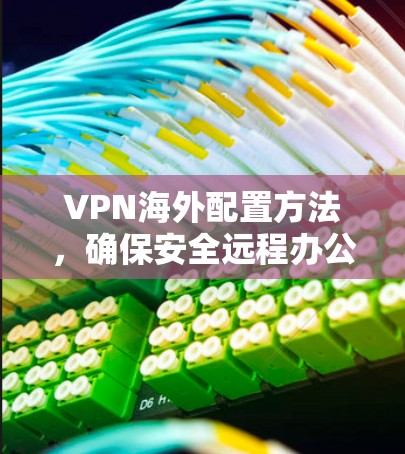 VPN海外配置方法,确保安全远程办公
