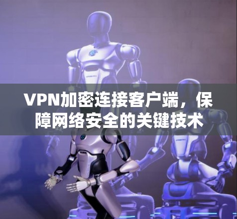 VPN加密连接客户端,保障网络安全的关键技术 VPN加密连接客户端,保障网络安全的关键技术