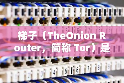 梯子(TheOnion Router,简称 Tor)是一种网络隐私工具,最初是为了保护用户的隐私和安全而开发的。它通过将数据传输经过多个节点,使得来源和目的难以追踪,从而提供匿名性