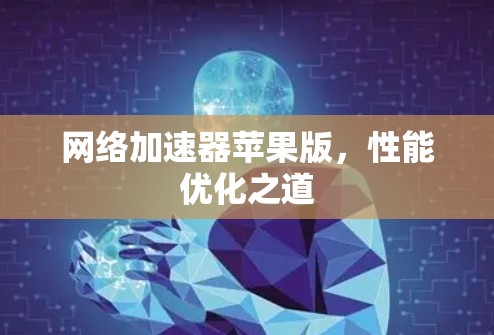 网络加速器苹果版,性能优化之道