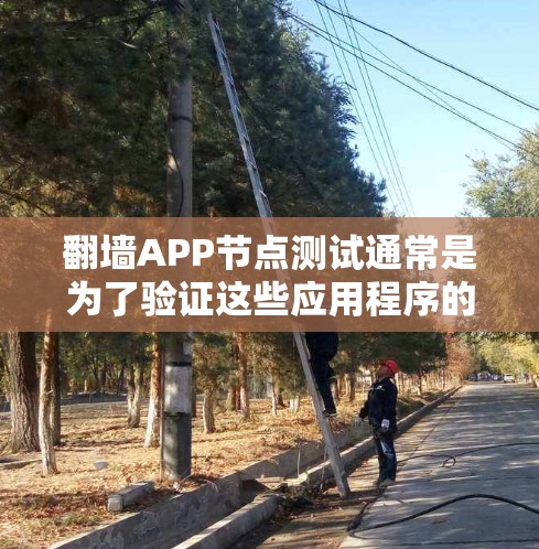 翻墙APP节点测试通常是为了验证这些应用程序的功能、性能和安全性。以下是一些常见的测试方法和注意事项