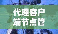 代理客户端节点管理是一个复杂的过程,涉及多个关键环节。以下是对每个环节的详细分析和总结 代理客户端节点管理是一个复杂的过程,涉及多个关键环节。以下是对每个环节的详细分析和总结