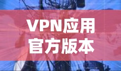 VPN应用官方版本,技术与应用解析 VPN应用官方版本,技术与应用解析