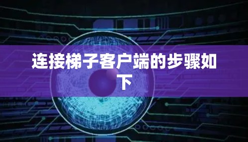 连接梯子客户端的步骤如下