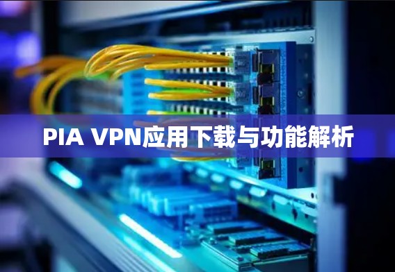 PIA VPN应用下载与功能解析