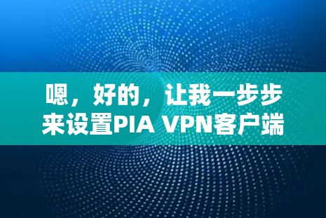 嗯,好的,让我一步步来设置PIA VPN客户端