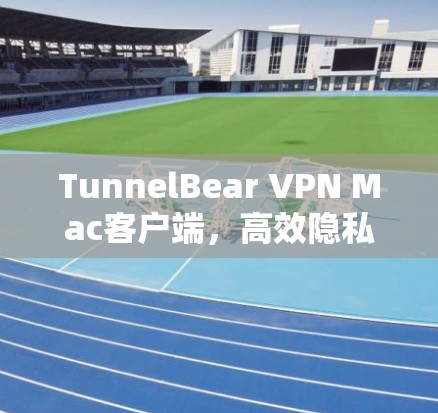 TunnelBear VPN Mac客户端,高效隐私保护,快速无缝连接 TunnelBear VPN Mac客户端,高效隐私保护,快速无缝连接