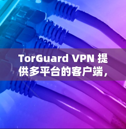 TorGuard VPN 提供多平台的客户端,包括 Windows。以下是获取和安装 TorGuard VPN 的电脑版客户端的步骤