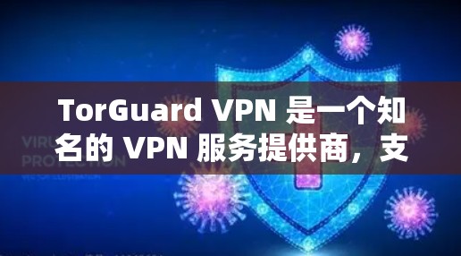 TorGuard VPN 是一个知名的 VPN 服务提供商,支持多种平台,包括 Mac。以下是使用 TorGuard VPN 在 Mac 上的步骤