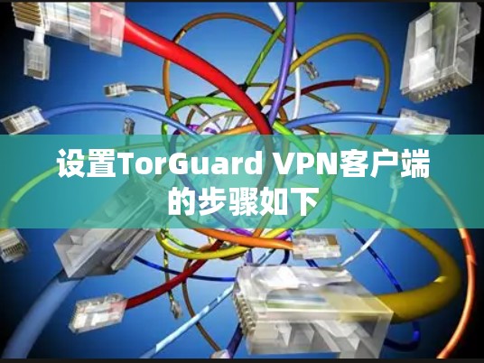 设置TorGuard VPN客户端的步骤如下