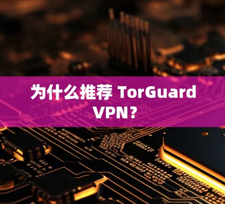 为什么推荐 TorGuard VPN？