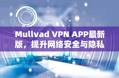 Mullvad VPN APP最新版,提升网络安全与隐私保护能力