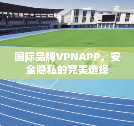 国际品牌VPNAPP,安全隐私的完美选择