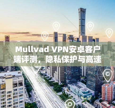 Mullvad VPN安卓客户端评测,隐私保护与高速网络的双重保障