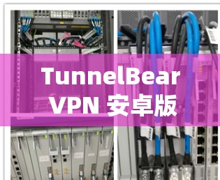 TunnelBear VPN 安卓版本,安全连接、快速浏览的最佳选择 TunnelBear VPN 安卓版本,安全连接、快速浏览的最佳选择