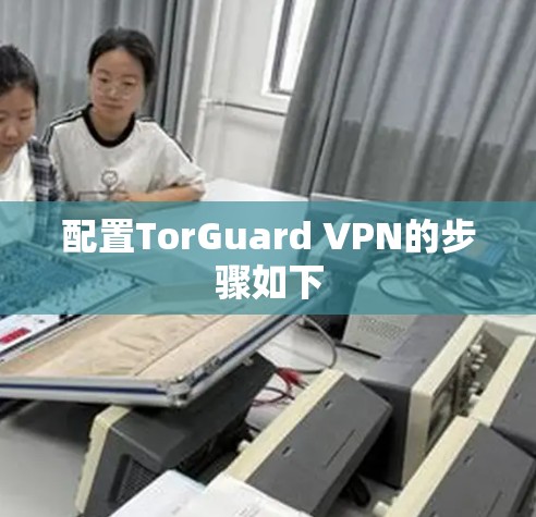 配置TorGuard VPN的步骤如下 配置TorGuard VPN的步骤如下