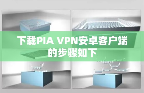 下载PIA VPN安卓客户端的步骤如下 下载PIA VPN安卓客户端的步骤如下